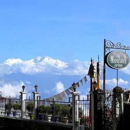 Muscatel Nirvana - At The Mall Road Darjeeling  Eksteriør billede